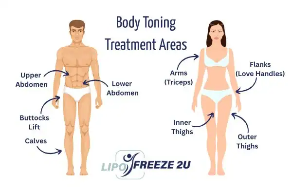 Graphic showing where you can have Body toning Treatment Clifton on your body